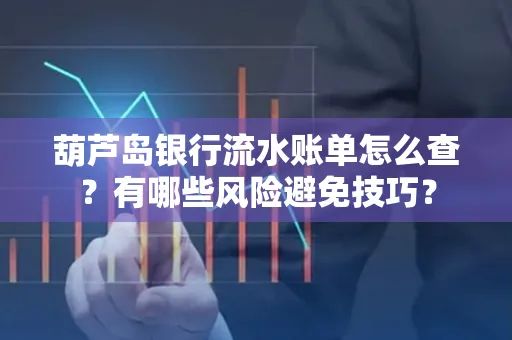 葫芦岛银行流水账单怎么查？有哪些风险避免技巧？