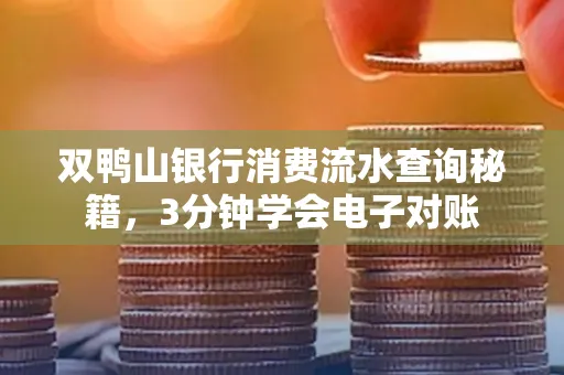 双鸭山银行消费流水查询秘籍，3分钟学会电子对账