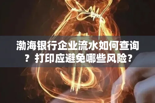 渤海银行企业流水如何查询？打印应避免哪些风险？