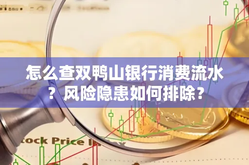 怎么查双鸭山银行消费流水？风险隐患如何排除？