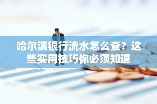 哈尔滨银行流水怎么查？这些实用技巧你必须知道