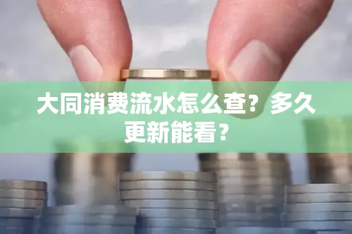 大同消费流水怎么查？多久更新能看？