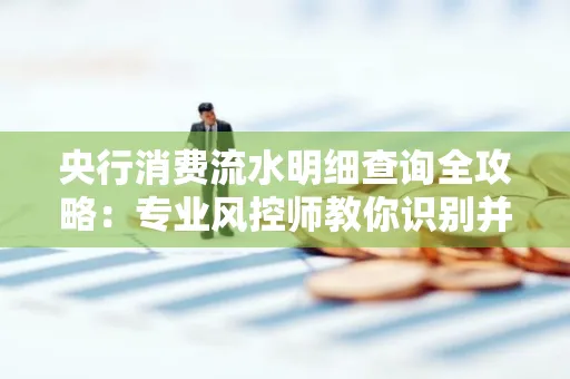 央行消费流水明细查询全攻略：专业风控师教你识别并规避用卡风险！